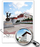 ����ͳ��